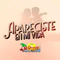 APARECISTE EN MI VIDA