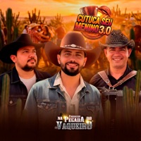 Cutuca Seu Menino 3.0 - Forrozão Na Pegada do Vaqueiro