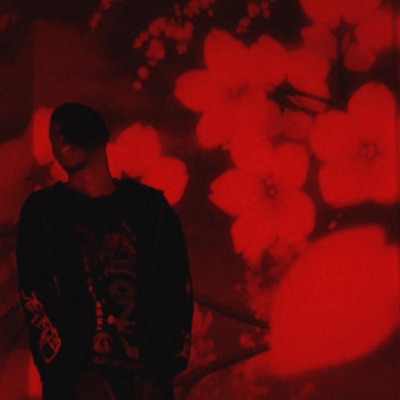 Infra(RED)