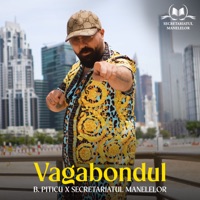 Vagabondul - Single - B.Piticu & Secretariatul Manelelor