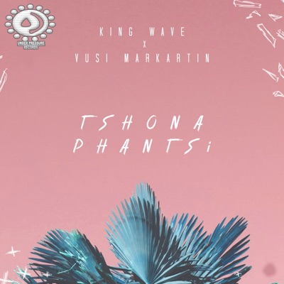 Tshona Phantsi (feat. Vusi Markartin) - EP