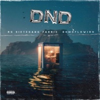 DND - Single - SieteGang Yabbie, Domoflowjoo & RG