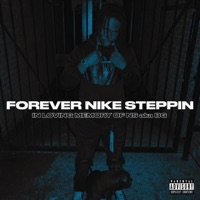 Forever Nike Steppin (Greatest Hits) - NS