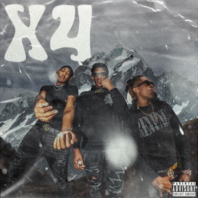 X4 (feat. Maaxout & TommyK) - Single