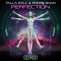 Perfection — Talla 2XLC & Roger Shah