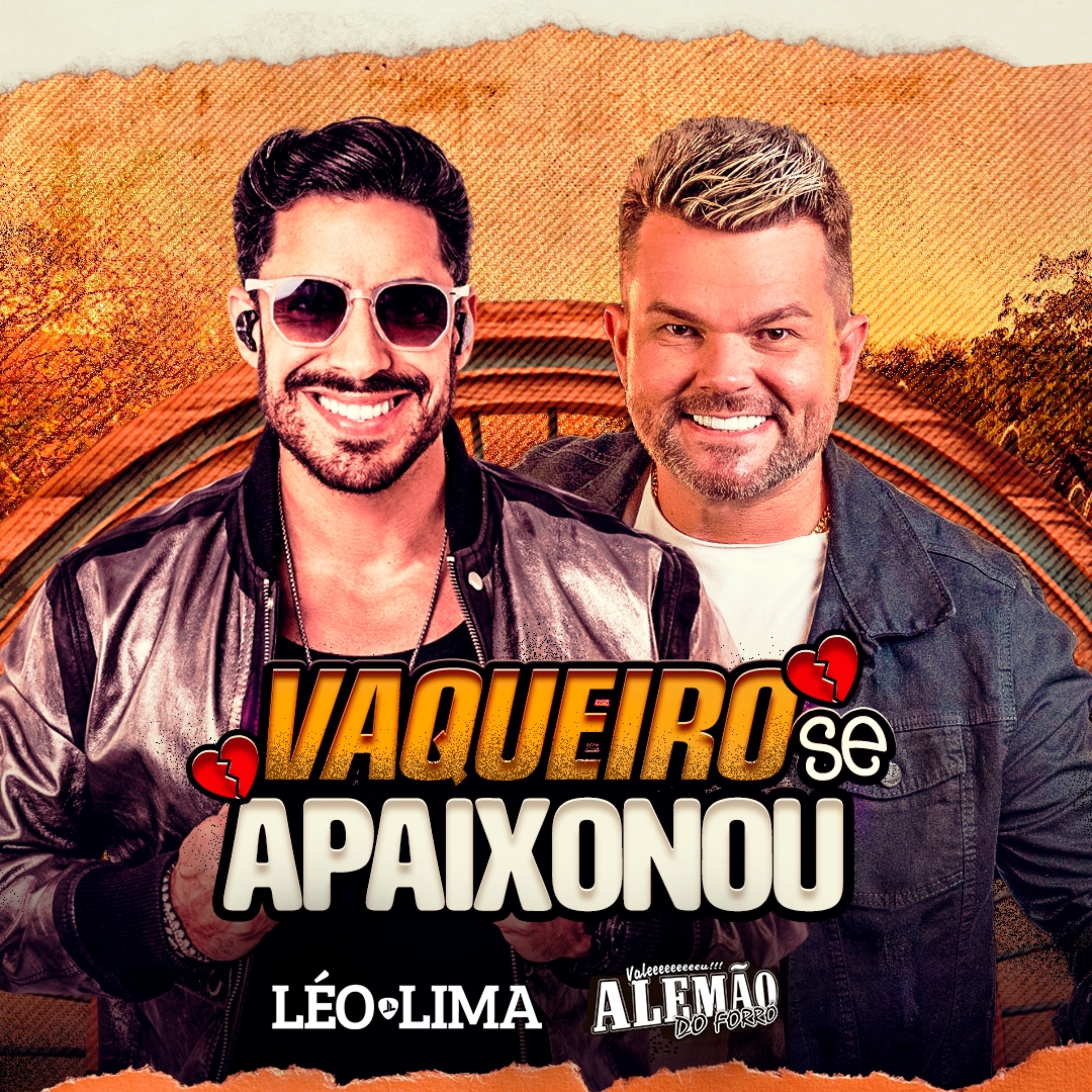Vaqueiro Se Apaixonou - Single