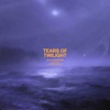 Tears of Twilight (Slowed + Reverb) - Single