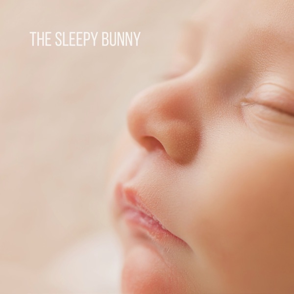 The Sleepy Bunny