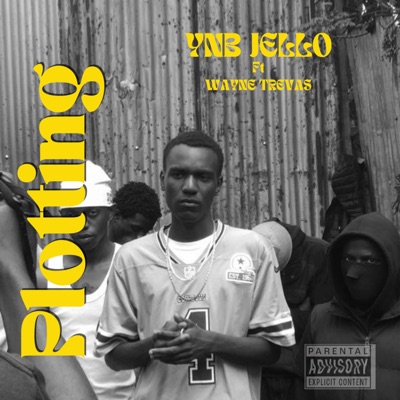 PLOTTING - Single