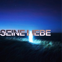 Seine Liebe - Single - DNNIS