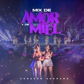 Mix De Amor y De Miel: Y Siempre / De Amor y De Miel / Tú La Tienes Que Pagar / Noches De Media Luna (En Vivo) artwork