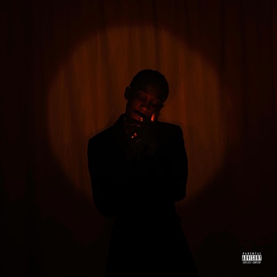 THE VILLIANS POINT OF VIEW - Single