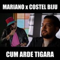 Cum arde tigara (feat. Costel Biju) by Mariano