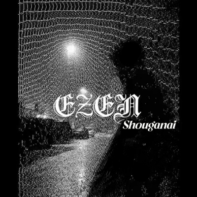 Shouganai - Single