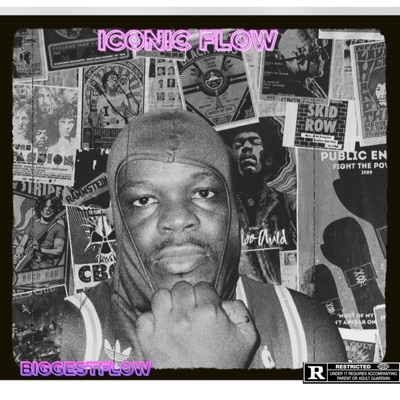 ICONIC FLOW - EP