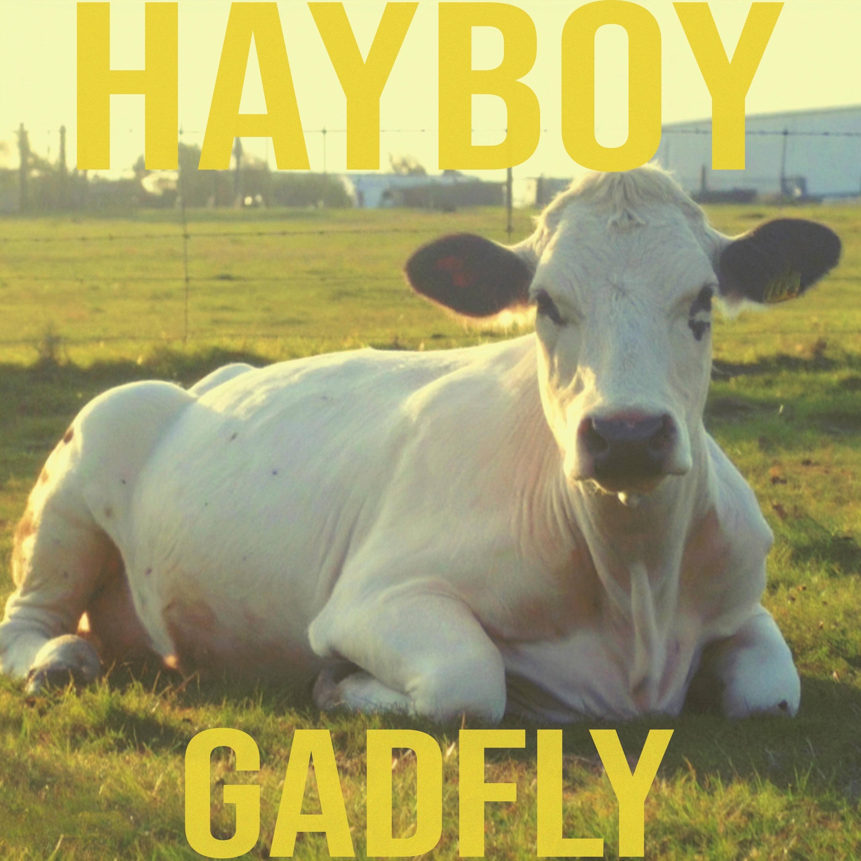 gadfly - Single