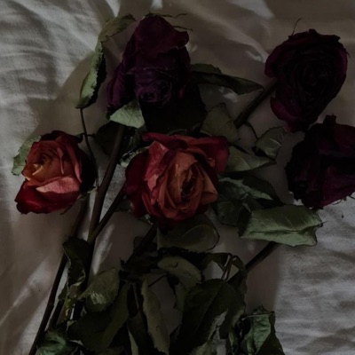 Coeur - Single