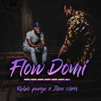 Flow Domi (feat. Rubio purge) - Single - Jhon Chris
