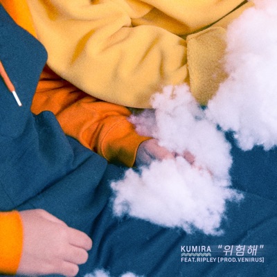 위험해 (feat. RIPLEY) - Single