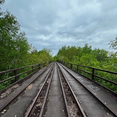 Idc (Need 2 sample) - Single