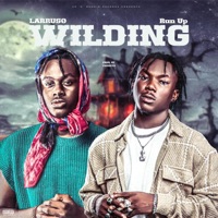 Wilding (feat. Larruso) - Single - Run Up