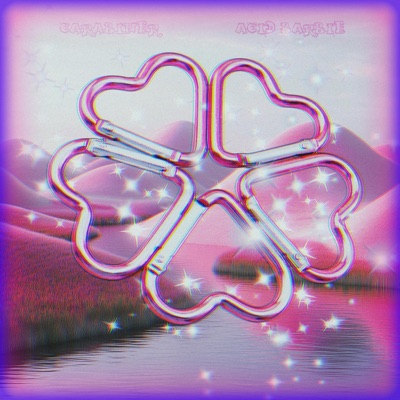 CARABINER - Single