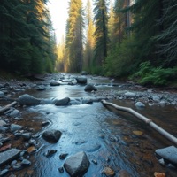 Stream of Rest - Single - Jambience