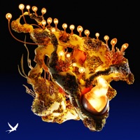 Say - Single - Korolova, Ross Quinn & Tim Bliss