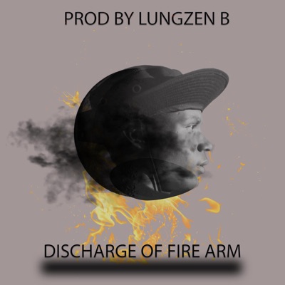 Discharge Of Fire Arm 2.0 & Shebe Vocal - Single