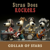 Collar of Stars