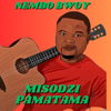 Nembo Bwoy - Misodzi Pamatama artwork