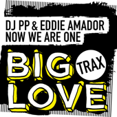 Now We Are One (Extended Mix)