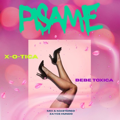PISAME  (feat. Bebe Toxica) - Single