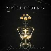 Skeletons - Single - David Seida