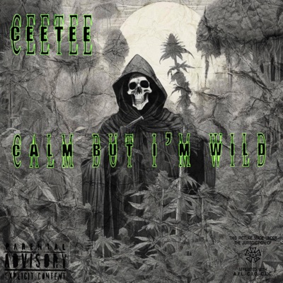 Calm But I'm Wild - Single