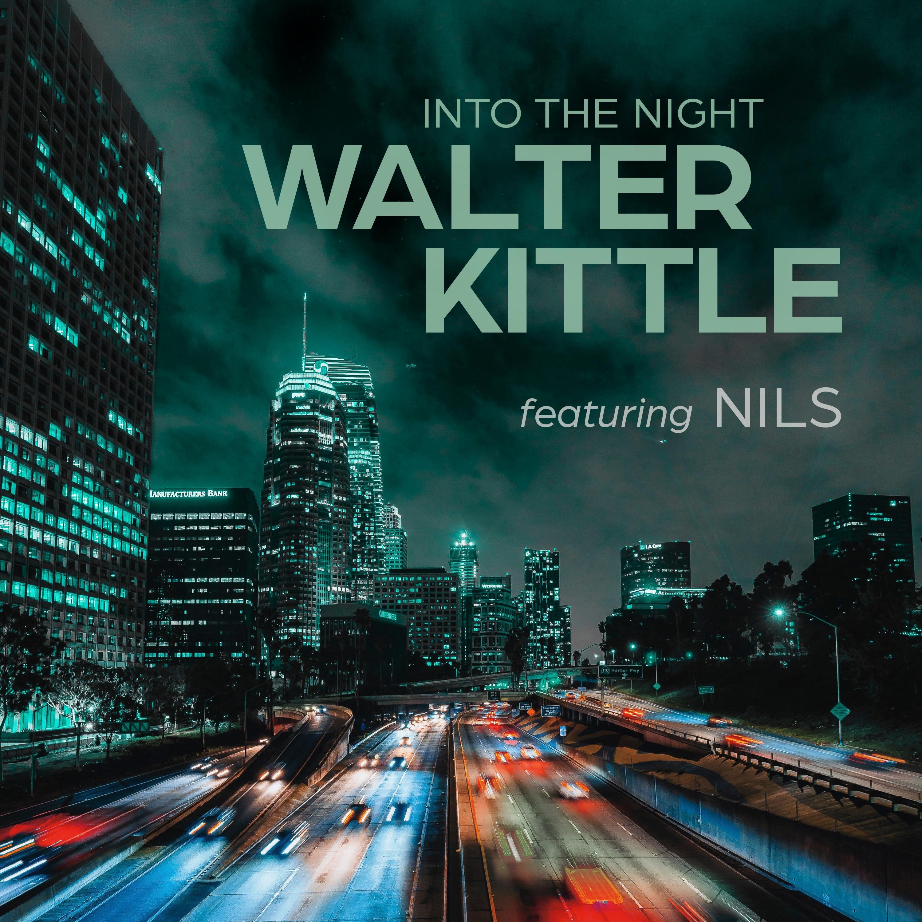 Walter Kittle - Into The Night (feat. Nils)