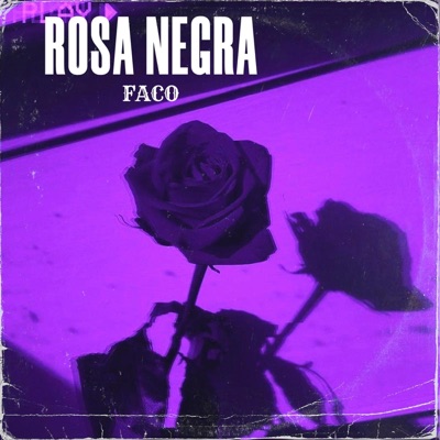 Rosa negra - Single