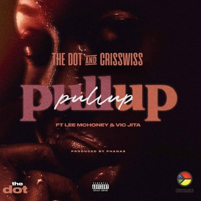 Pull Up (feat. Lee McHoney & Vic Jita) - Single