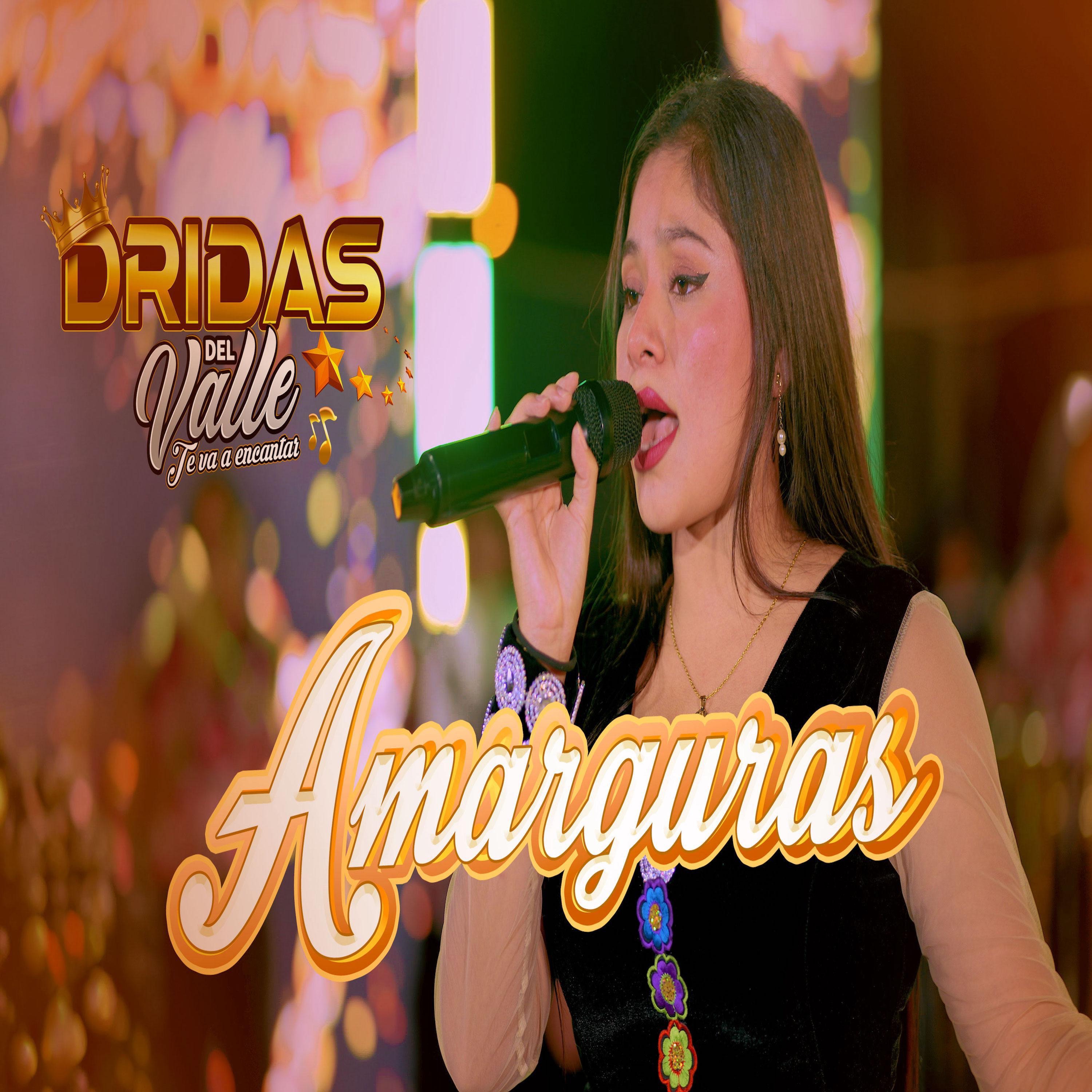 Amarguras - Single