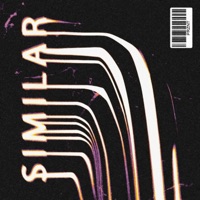 Similar - Single - Prznt