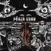 Põhja Konn - Hulkuv laev