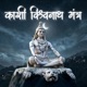 Sanand Manand Vane Vasantam Powerful Kashi Vishwanath Shiv Mantra for Peace Divine Energy