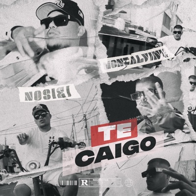 TE CAIGO - Single