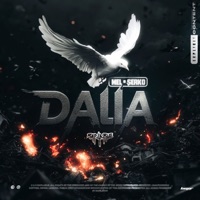 Dalia (Rap La Rue) - Single - MEL & Serko