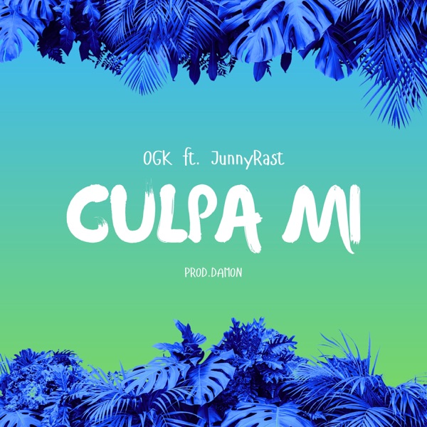 Culpa Mi (feat. JunnyRast)
