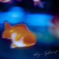 เปอร์เซ็นต์เคยรัก (feat. Lightsaint) - Single - BLUEJ