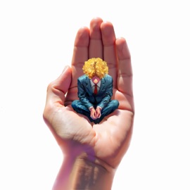 простая замечательная жизнь плм