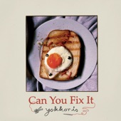 Can You Fix It artwork