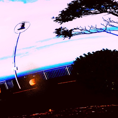 Crazy (feat. SAVAGEHINE) - Single