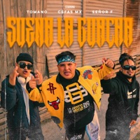 SUENA LA GUACHA (feat. TOMANO GS, CEFAS MX & SEÑOR F) - Single - La Granja Rifa